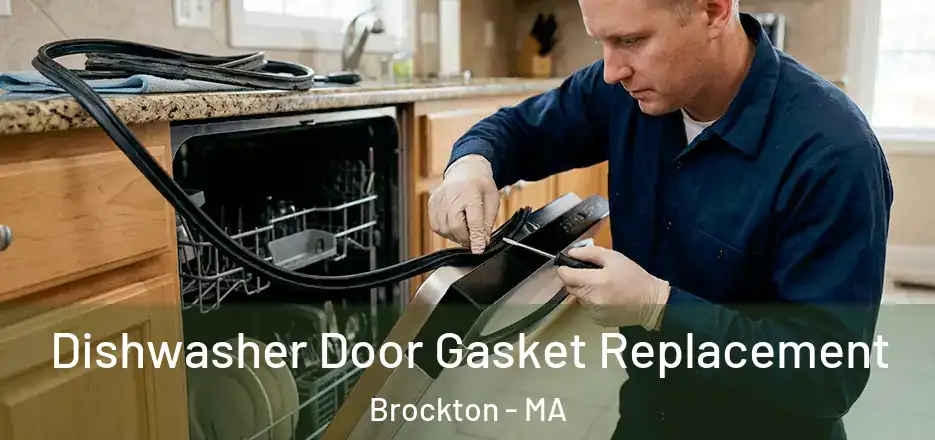 Dishwasher Door Gasket Replacement Brockton - MA