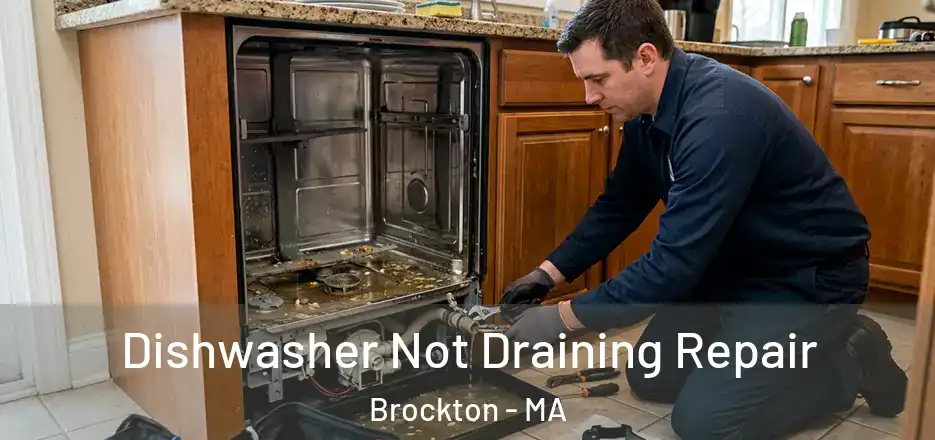 Dishwasher Not Draining Repair Brockton - MA