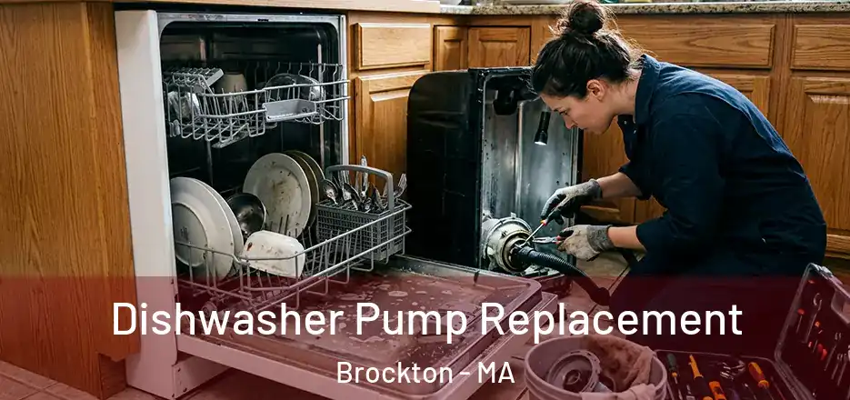 Dishwasher Pump Replacement Brockton - MA