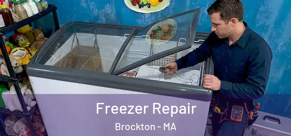 Freezer Repair Brockton - MA