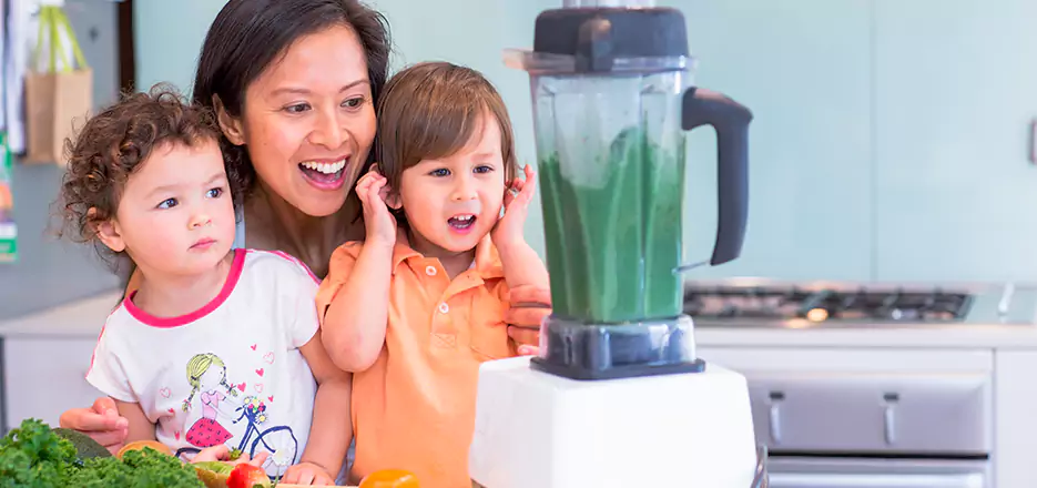 Juicer and Mixer Blender Repair in Brockton